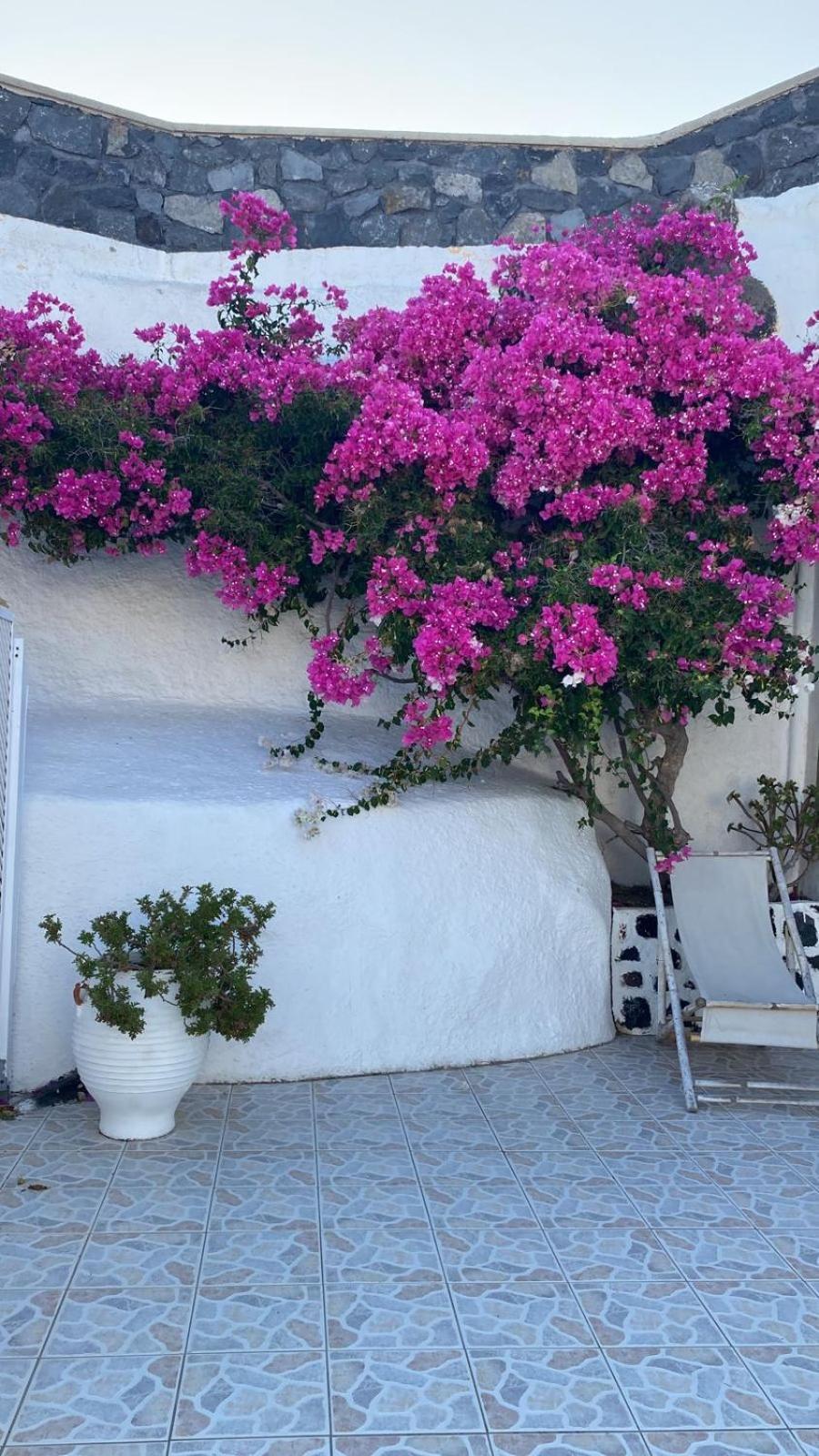 Palm Tree Hill Konuk evi Oía Dış mekan fotoğraf