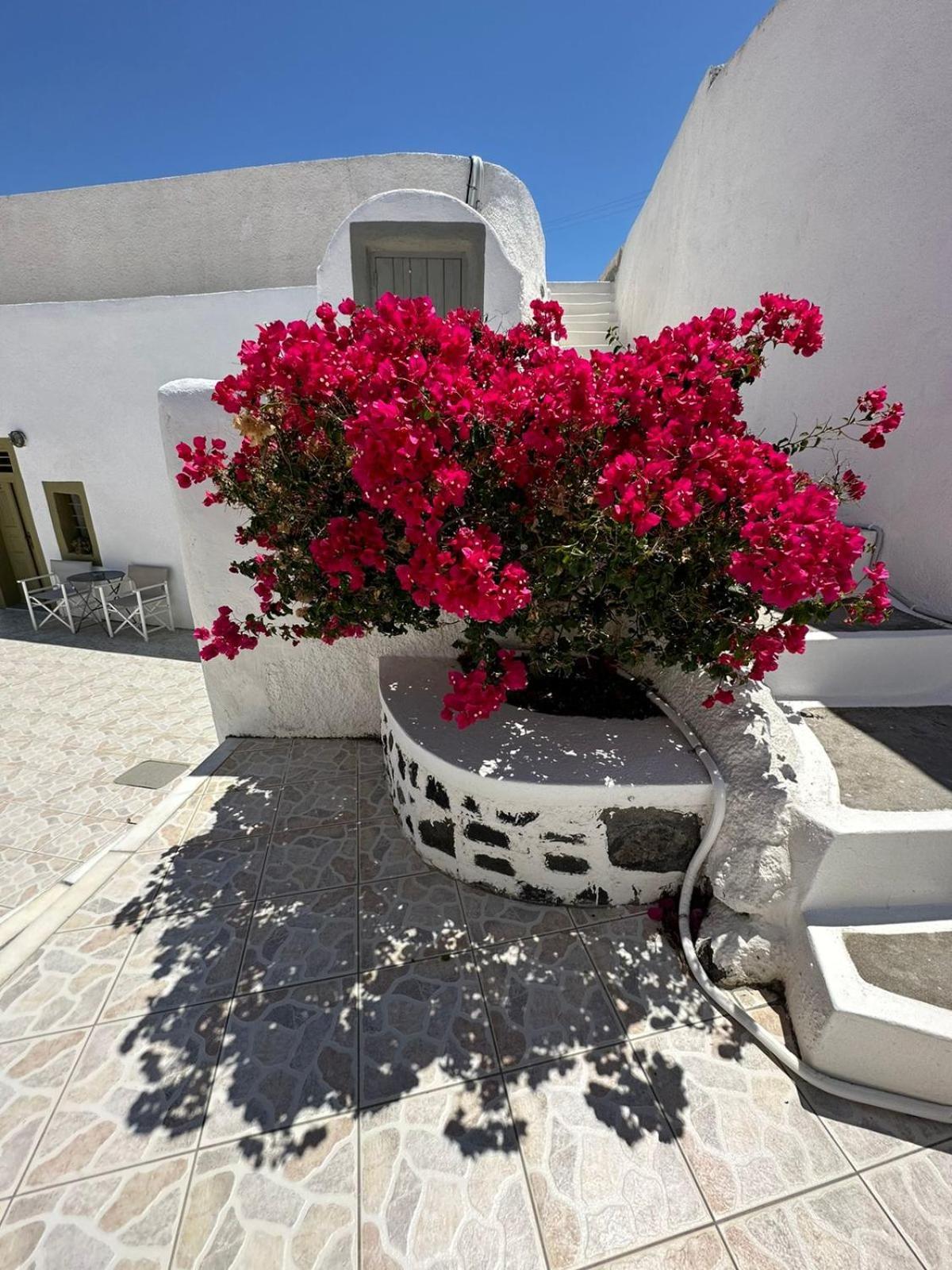 Palm Tree Hill Konuk evi Oía Dış mekan fotoğraf